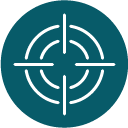 custom surveys